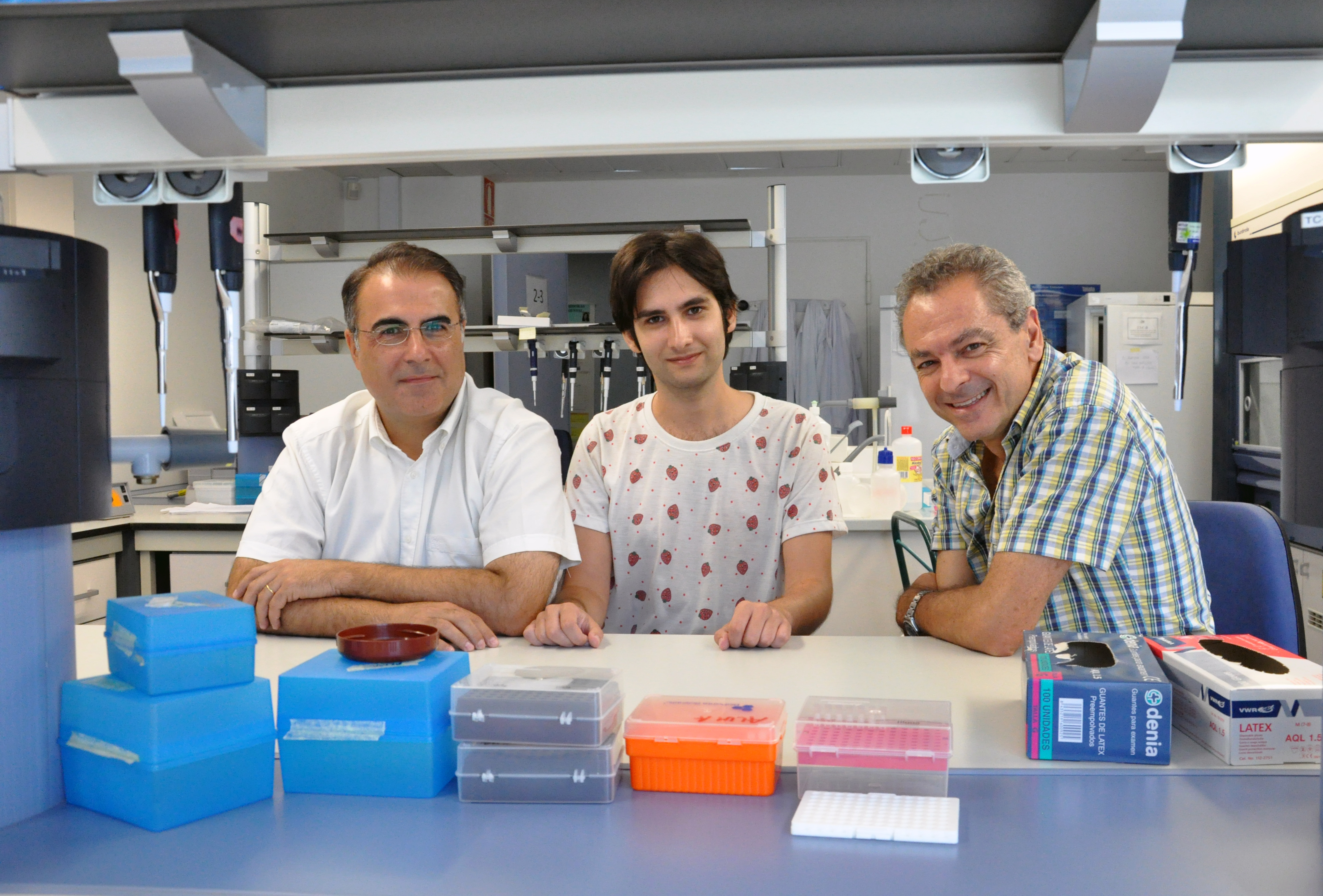 Un estudio evalúa la efectividad de los fármacos para hepatits C causada por diferentes genotipos del virus