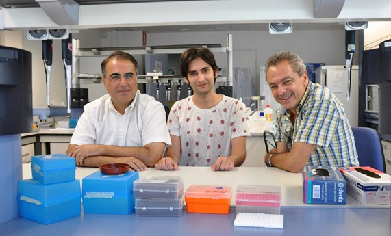 Un estudio evalúa la efectividad de los fármacos para hepatits C causada por diferentes genotipos del virus Un estudio evalúa la efectividad de los fármacos para hepatits C causada por diferentes genotipos del virus