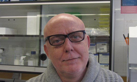 Marçal Pastor, nuevo director del Instituto de Biomedicina de la Universidad de Barcelona Marçal Pastor, nuevo director del Instituto de Biomedicina de la Universidad de Barcelona