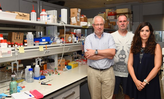 Idean un nuevo sistema que permite la detección de cocaína a muy bajas concentraciones Idean un nuevo sistema que permite la detección de cocaína a muy bajas concentraciones