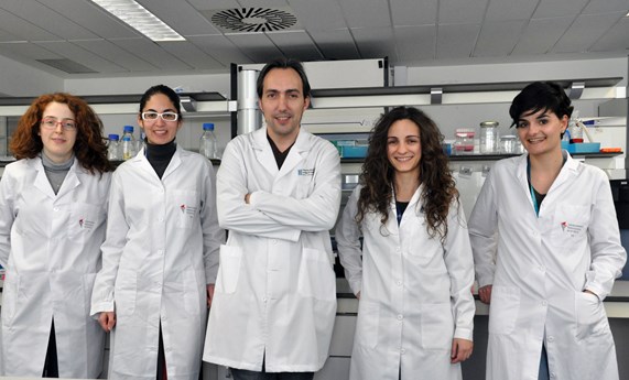 Analizan el efecto negativo a largo plazo del antibiótico vancomicina en la flora intestinal Analizan el efecto negativo a largo plazo del antibiótico vancomicina en la flora intestinal