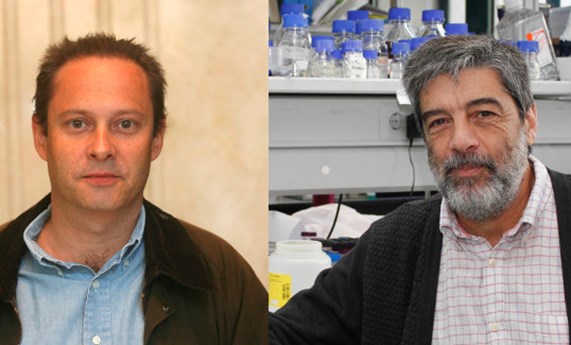 Ubiquinol, designado medicamento huérfano para el tratamiento de la deficiencia primaria de coenzima Q10 Ubiquinol, designado medicamento huérfano para el tratamiento de la deficiencia primaria de coenzima Q10