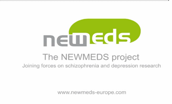 NEWMEDS ha unido a instituciones académicas y empresas farmacéuticas en la búsqueda de nuevos fármacos para esquizofrenia y depresión NEWMEDS ha unido a instituciones académicas y empresas farmacéuticas en la búsqueda de nuevos fármacos para esquizofrenia y depresión
