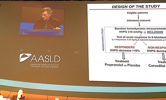 Los investigadores del CIBEREHD tuvieron un gran protagonismo en el Congreso Anual de la AASLD Los investigadores del CIBEREHD tuvieron un gran protagonismo en el Congreso Anual de la AASLD