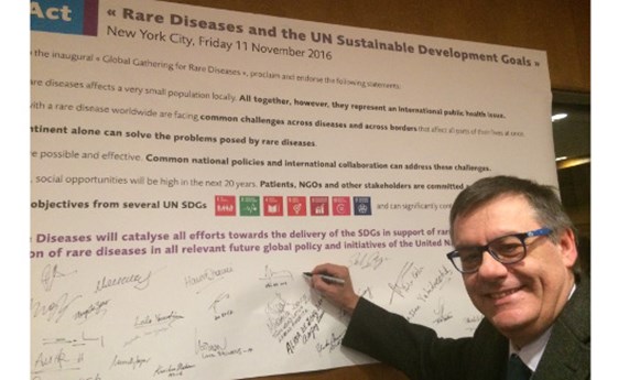 Francesc Palau participa en la reunión fundacional del Comité de ONGs para las Enfermedades Raras en la sede de la ONU Francesc Palau participa en la reunión fundacional del Comité de ONGs para las Enfermedades Raras en la sede de la ONU