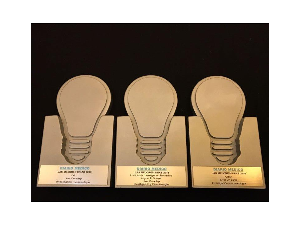 El proyecto 'Liver on a chip' premiado por Diario Medio como una de las 'Mejores Ideas' de 2016