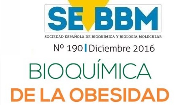 La revista de la SEEBM destaca la importancia de la Bioquímica y la investigación básica para la Obesidad La revista de la SEEBM destaca la importancia de la Bioquímica y la investigación básica para la Obesidad
