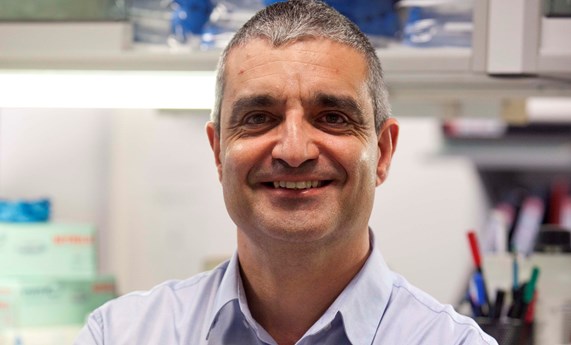 Identificados varios genes que están alterados frecuentemente en los linfomas de células T periféricos de “origen poco claro” Identificados varios genes que están alterados frecuentemente en los linfomas de células T periféricos de “origen poco claro”