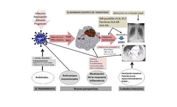 Medicina personalizada en pacientes con gripe Medicina personalizada en pacientes con gripe