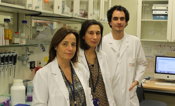 Se describe, por primera vez, la implicación del cambio químico de las proteínas en la progresión y regresión de la fibrosis hepática Se describe, por primera vez, la implicación del cambio químico de las proteínas en la progresión y regresión de la fibrosis hepática