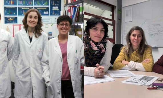 La lisil oxidasa es una nueva fuente de estrés oxidativo asociado a la hipertensión La lisil oxidasa es una nueva fuente de estrés oxidativo asociado a la hipertensión