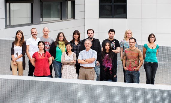 Alteraciones en la dinámica mitocondrial podrían estar asociadas con el envejecimiento y la diabetes Alteraciones en la dinámica mitocondrial podrían estar asociadas con el envejecimiento y la diabetes