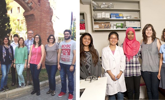 Glucosa o fructosa: nuevo estudio sobre el impacto del azúcar en el metabolismo y la salud cardiovascular Glucosa o fructosa: nuevo estudio sobre el impacto del azúcar en el metabolismo y la salud cardiovascular