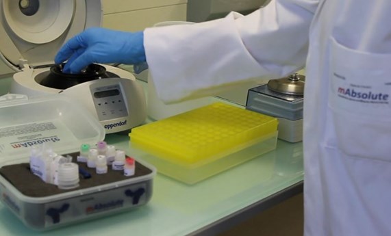 Asparia Glycomics, la nueva Spin-off del CIC biomaGUNE Asparia Glycomics, la nueva Spin-off del CIC biomaGUNE