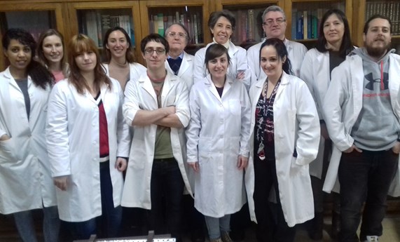 Nuevas pistas sobre la actividad eléctrica del corazón Nuevas pistas sobre la actividad eléctrica del corazón