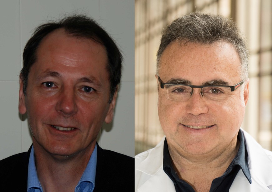 Determinan las diferencias estructurales a nivel cerebral en la población bipolar