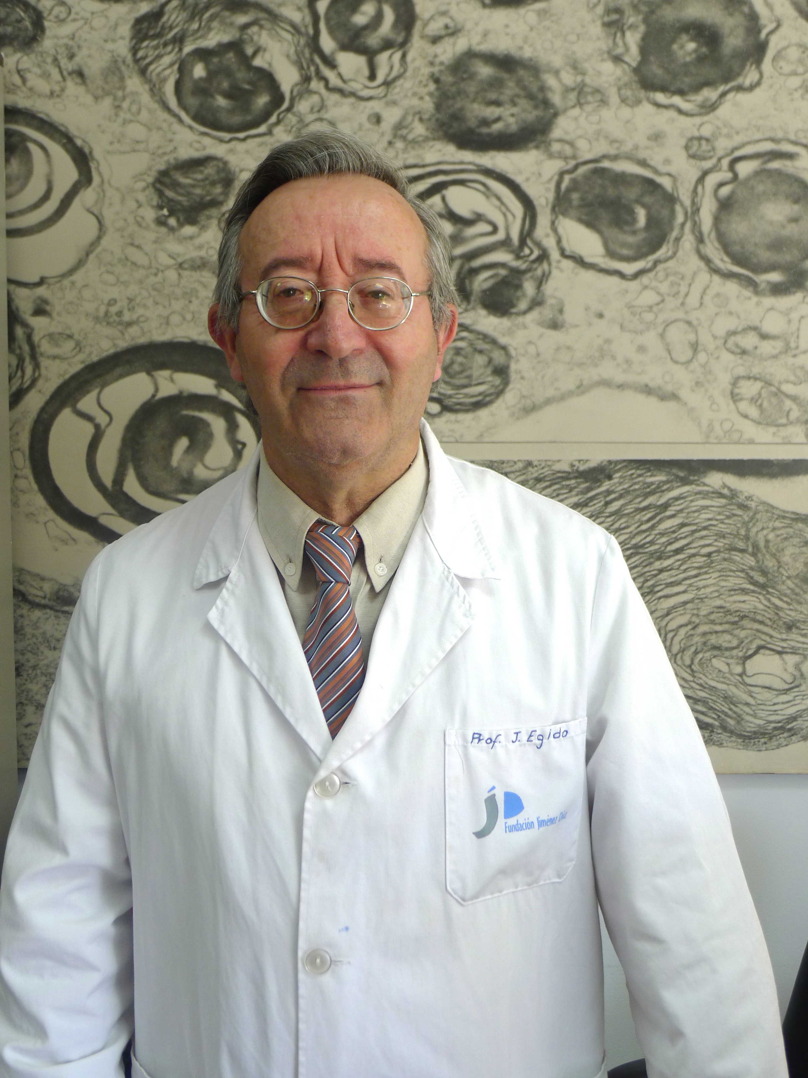 Jesús Egido de los Ríos, Premio Lección Conmemorativa Jiménez Díaz 2017