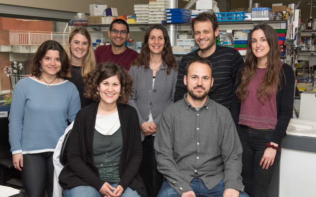 Proponen una nueva estrategia terapéutica para reducir la formación de vasos colaterales y varices gastroesofágicas